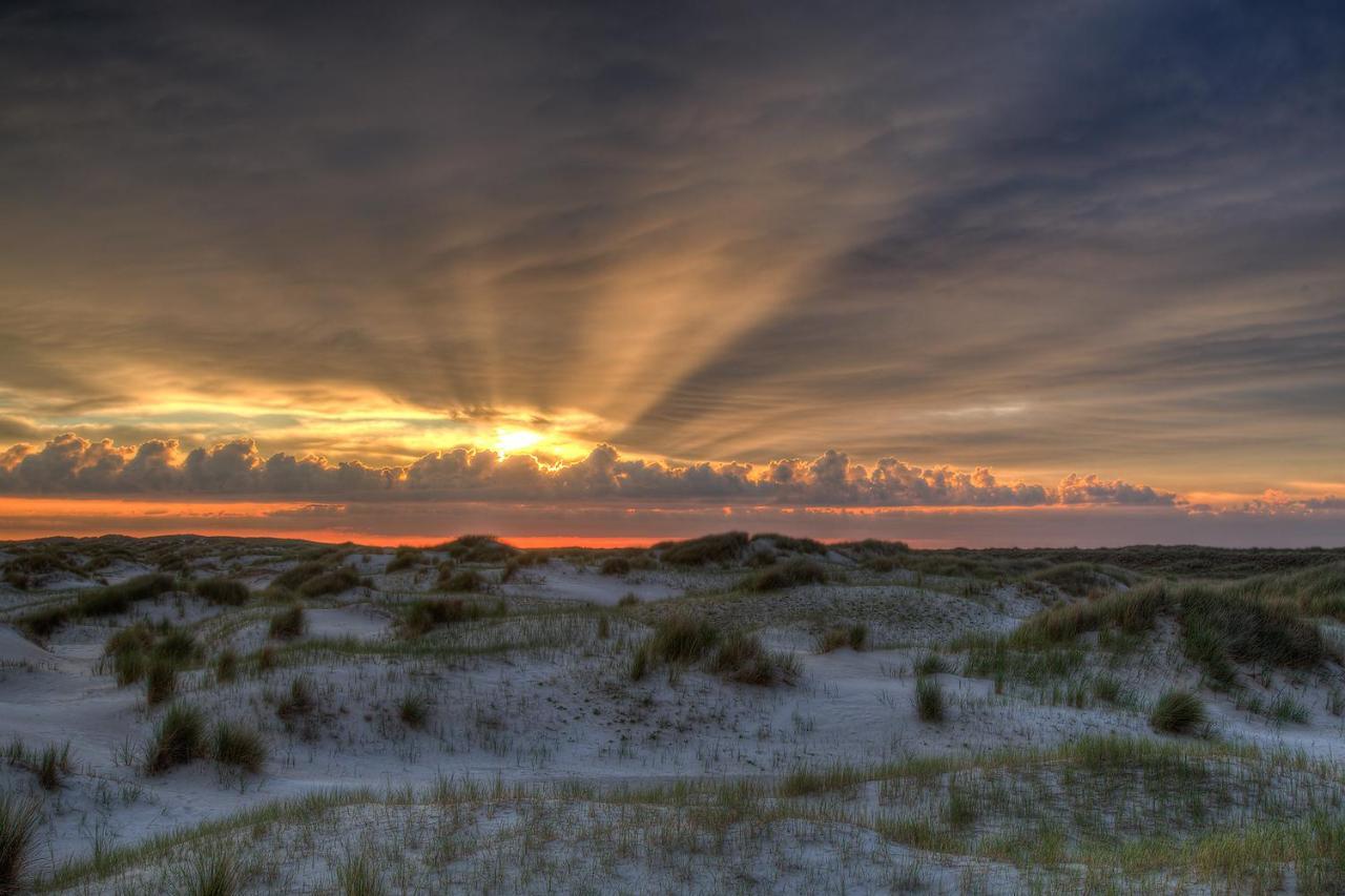 Zeelucht Texel De Koog (Texel) Exterior foto
