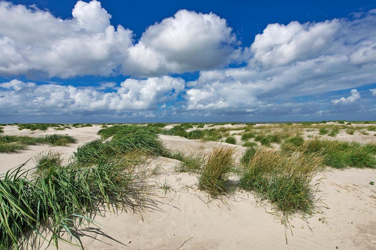 Zeelucht Texel De Koog (Texel) Exterior foto